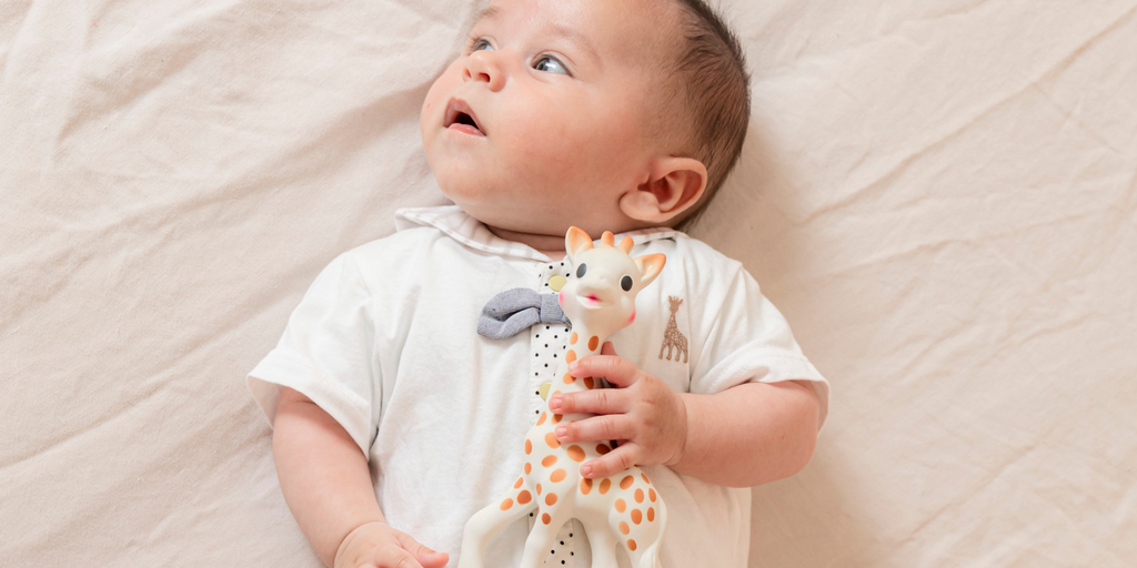 公式アンバサダー　Sophie la girafe Japan Ambassador